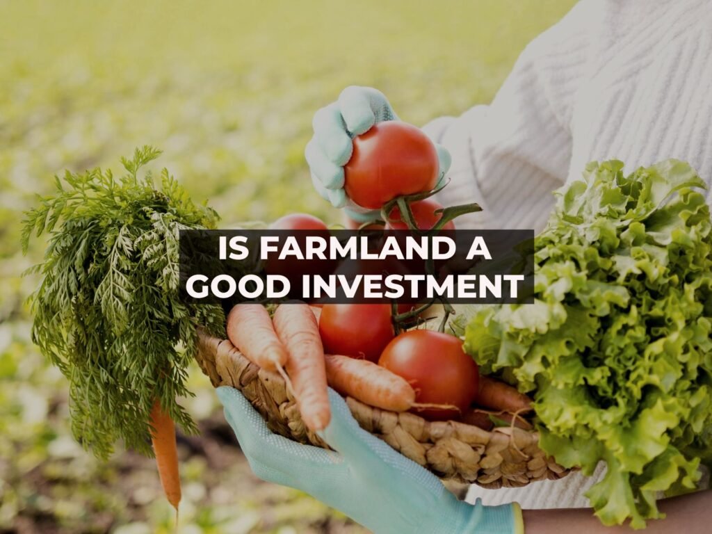 Farmland Investment: Is Investing In Agricultural Land Good? Agricultural Investment in Nigeria