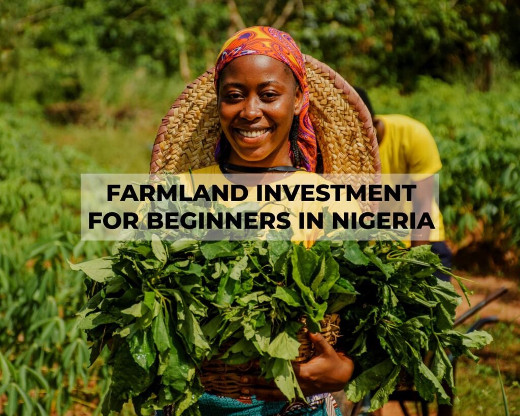 Farmland Investment for Beginners In Nigeria