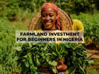 Farmland Investment for Beginners In Nigeria