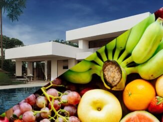 Investing in Farmland vs Real Estate: The Pros and Cons