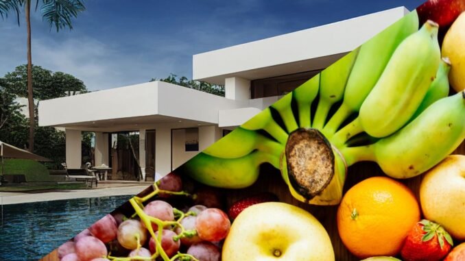 Investing in Farmland vs Real Estate: The Pros and Cons Investing in Farmland vs Real Estate: The Pros and Cons