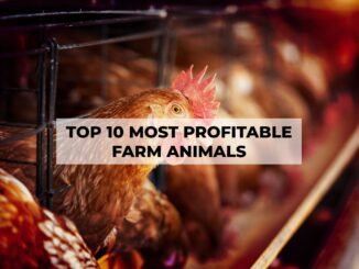 most profitable farm animals