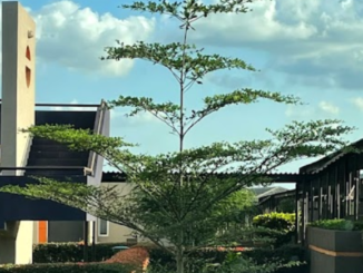 Resorts in Ogun State