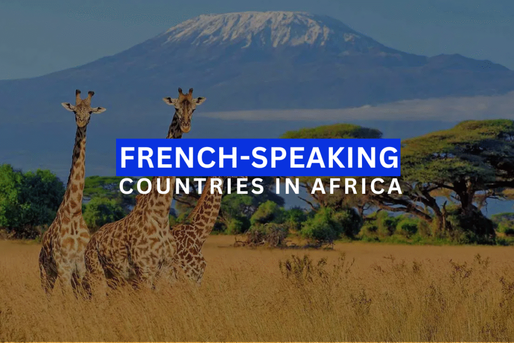 francophone African countries