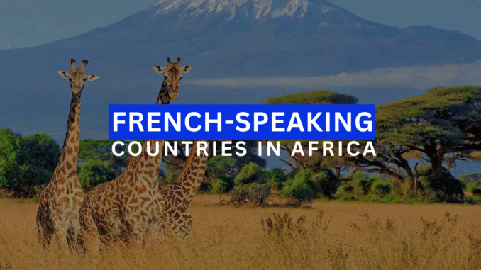 francophone African countries francophone African countries