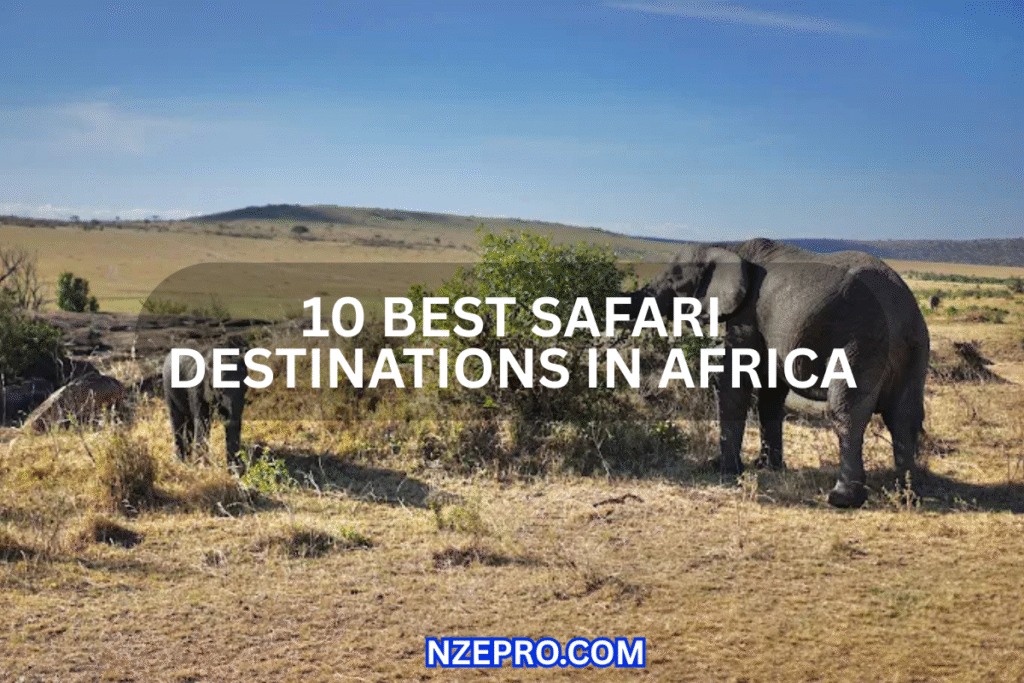Top 10 Best Safari Destinations in Africa 2025 Best Safari Destinations in Africa