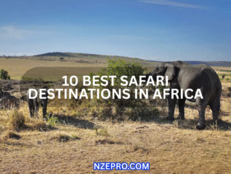 Best Safari Destinations in Africa