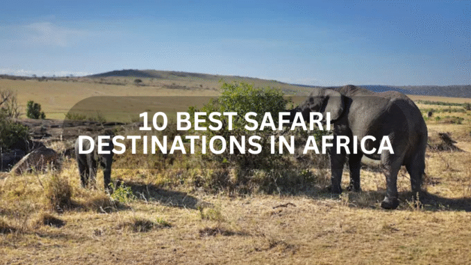 Best Safari Destinations in Africa Best Safari Destinations in Africa