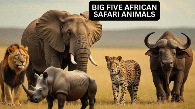 big 5 african safari animals big 5 african safari animals