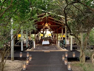 luxurious safari lodges