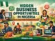 Hidden Business Opportunities in Nigeria