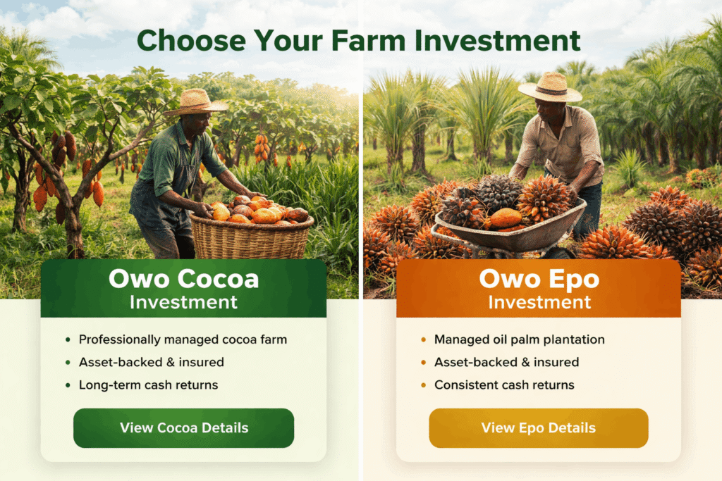 Professionally Managed Farm Investments in Ogun Professionally Managed Farm Investments in Ogun