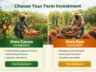 Professionally Managed Farm Investments in Ogun