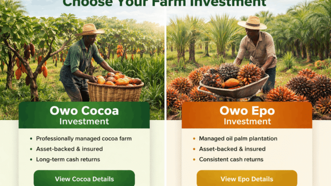 Professionally Managed Farm Investments in Ogun
