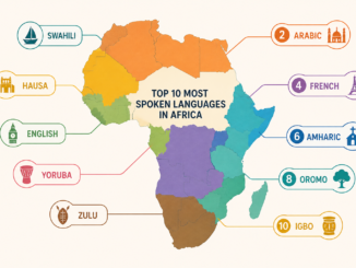 Top10 Spoken Languages In Africa